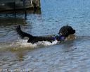 20130824-awd-0034