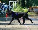 20130824-awd-0047