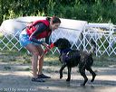 20130824-awd-0049