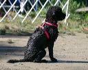 20130824-awd-0187