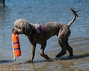 20130824-awd-0292