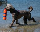 20130824-awd-0298