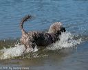 20130824-awd-0309
