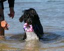 20130824-awd-0362