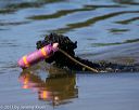 20130824-awd-0378