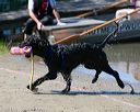 20130824-awd-0384