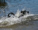 20130824-awd-0489
