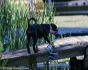 20130824-awd-0499