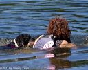 20130824-awd-0515