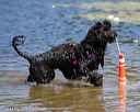 20130824-awd-0574