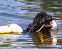 20130824-awd-0688