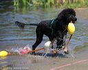 20130824-awd-0694