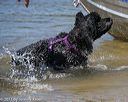 20130824-cwd-0006