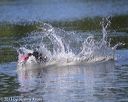 20130824-cwd-0015