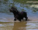 20130824-cwd-0022