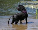 20130824-cwd-0024