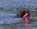 20130824-cwd-0036