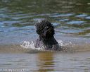20130824-cwd-0040