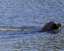 20130824-cwd-0046