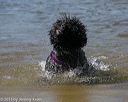 20130824-cwd-0063