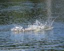 20130824-cwd-0077