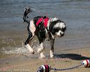 20130824-cwd-0089