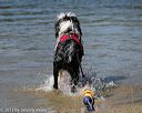 20130824-cwd-0094