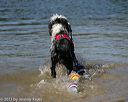 20130824-cwd-0097