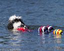 20130824-cwd-0101