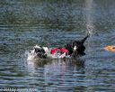 20130824-cwd-0119