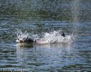 20130824-cwd-0120
