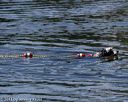 20130824-cwd-0121