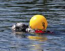 20130824-cwd-0131