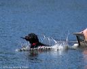 20130824-cwd-0161