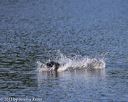 20130824-cwd-0169