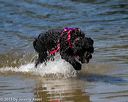 20130824-cwd-0173