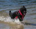 20130824-cwd-0175