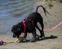 20130824-cwd-0179