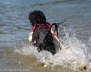 20130824-cwd-0185