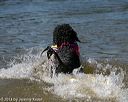 20130824-cwd-0190