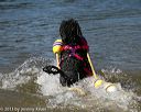 20130824-cwd-0192