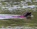 20130824-cwd-0205