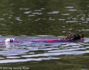 20130824-cwd-0208