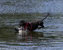 20130824-cwd-0214