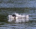 20130824-cwd-0215