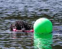 20130824-cwd-0224