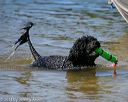 20130824-cwd-0232
