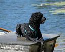 20130824-cwd-0240