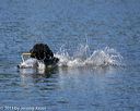 20130824-cwd-0247