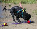 20130824-cwd-0258